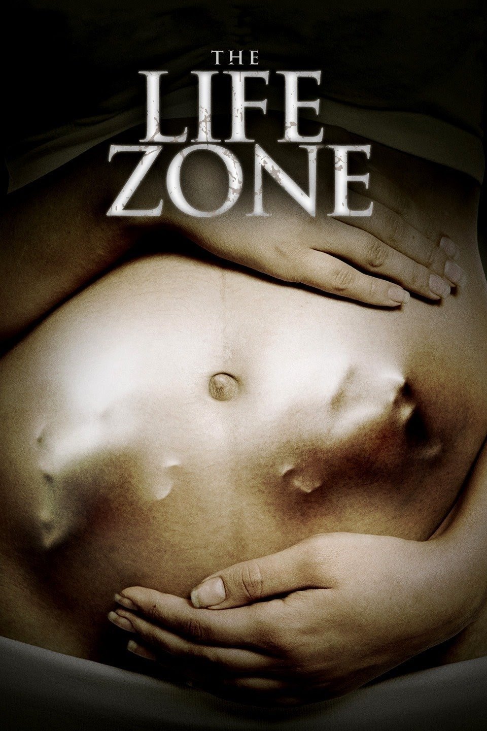 Постер The Life Zone